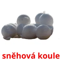 sněhová koule Tarjetas didacticas