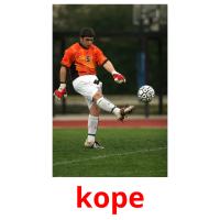 kope picture flashcards