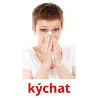 kýchat Tarjetas didacticas