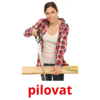 pilovat Tarjetas didacticas