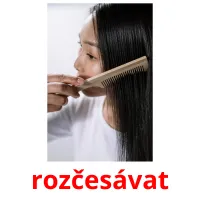 rozčesávat Tarjetas didacticas