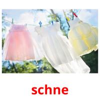 schne picture flashcards