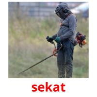 sekat picture flashcards