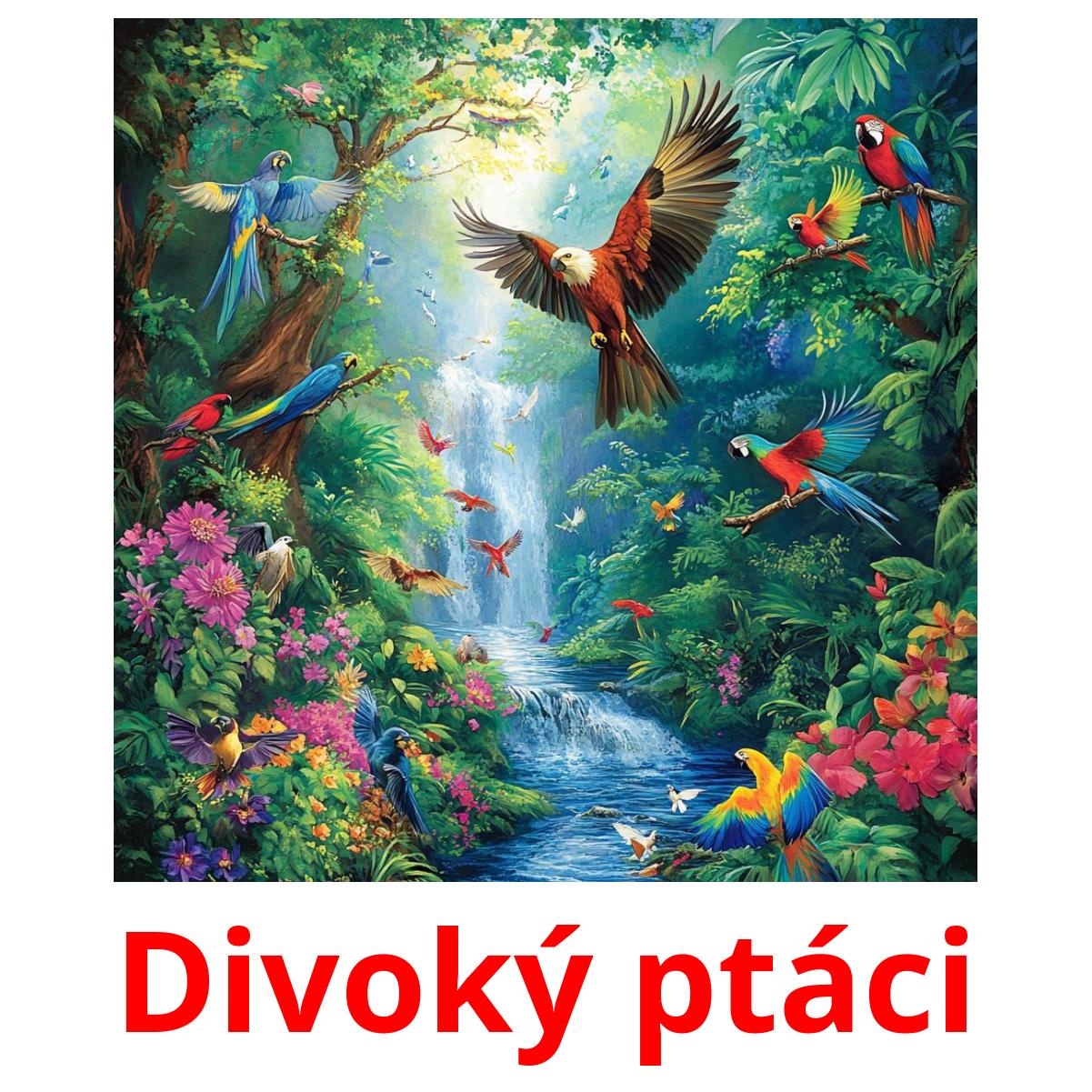 Divoký ptáci Tarjetas didacticas