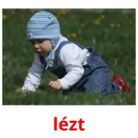 lézt Bildkarteikarten