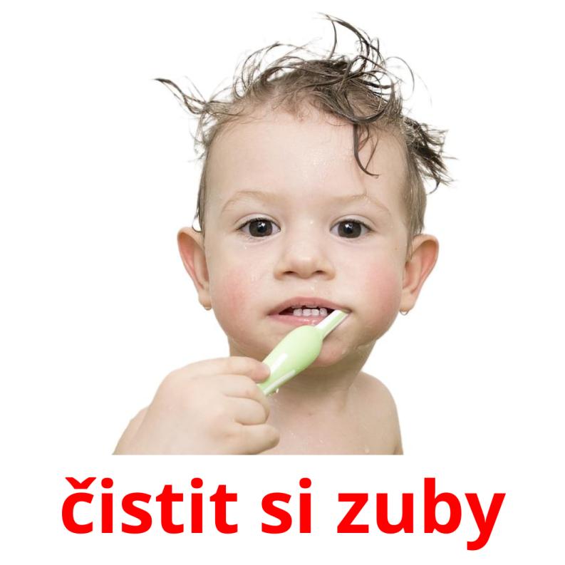 čistit si zuby picture flashcards