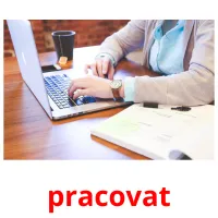 pracovat Tarjetas didacticas