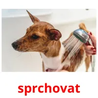 sprchovat Tarjetas didacticas