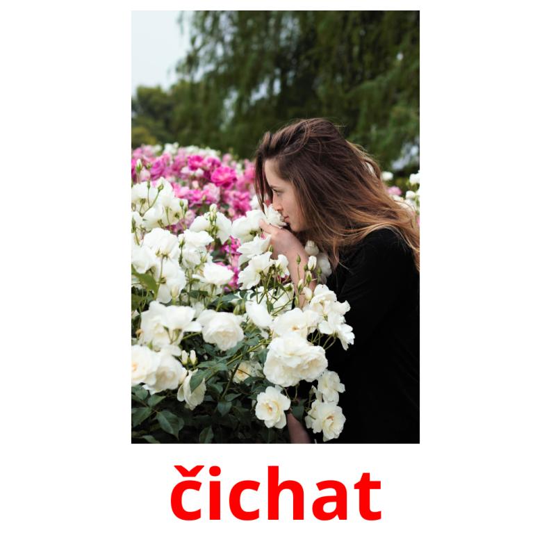 čichat picture flashcards