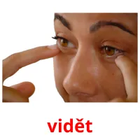 vidět Tarjetas didacticas