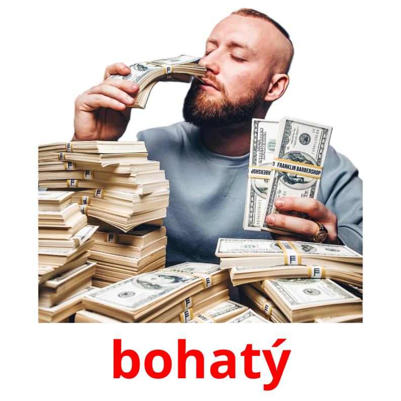 bohatý picture flashcards