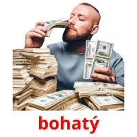 bohatý picture flashcards