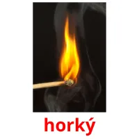 horký picture flashcards