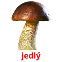 jedlý picture flashcards
