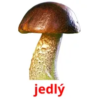 jedlý picture flashcards