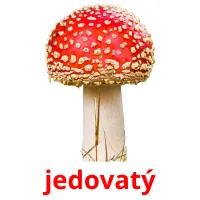 jedovatý flashcards illustrate