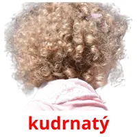 kudrnatý flashcards illustrate