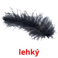 lehký picture flashcards