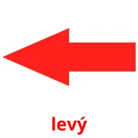 levý flashcards illustrate