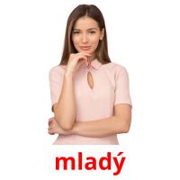 mladý picture flashcards