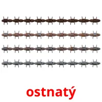 ostnatý flashcards illustrate