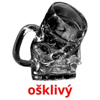 ošklivý picture flashcards