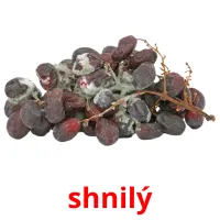 shnilý picture flashcards