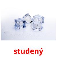 studený picture flashcards