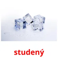 studený picture flashcards