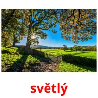 světlý picture flashcards