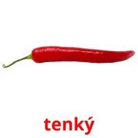 tenký picture flashcards