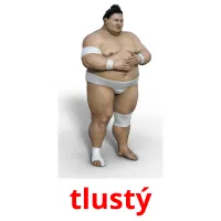 tlustý picture flashcards