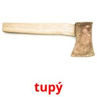 tupý picture flashcards