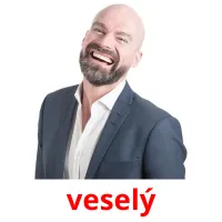 veselý picture flashcards