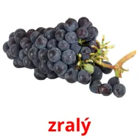 zralý picture flashcards