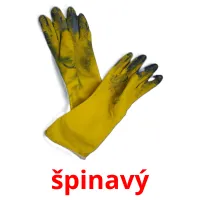 špinavý picture flashcards