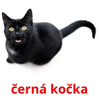 černá kočka Tarjetas didacticas