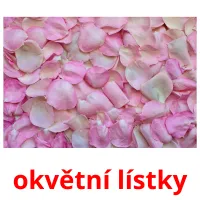 okvětní lístky Tarjetas didacticas