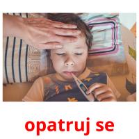 opatruj se picture flashcards