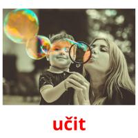 učit picture flashcards