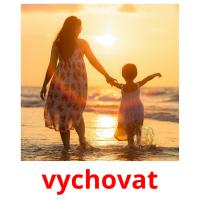 vychovat picture flashcards