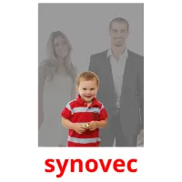 synovec Tarjetas didacticas