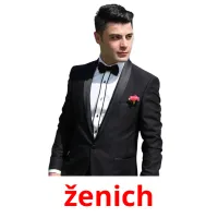 ženich Tarjetas didacticas