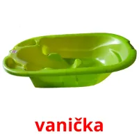 vanička cartes flash