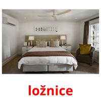 ložnice picture flashcards