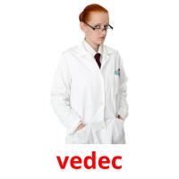 vedec picture flashcards