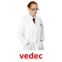 vedec Tarjetas didacticas