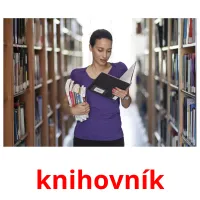 knihovník picture flashcards