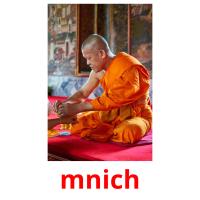 mnich picture flashcards