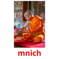 mnich picture flashcards